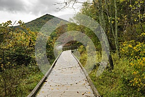 Autumn View of Sharp Top Mountain, Abbott Lake and Boardwalk